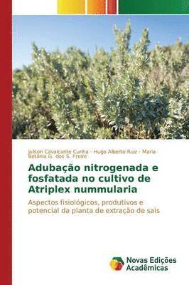 bokomslag Adubao nitrogenada e fosfatada no cultivo de Atriplex nummularia