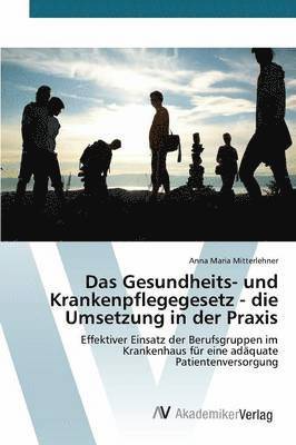 bokomslag Das Gesundheits- und Krankenpflegegesetz - die Umsetzung in der Praxis