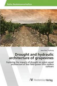 bokomslag Drought and hydraulic architecture of grapevines