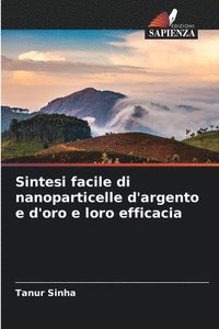 bokomslag Sintesi facile di nanoparticelle d'argento e d'oro e loro efficacia