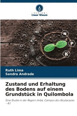 bokomslag Zustand und Erhaltung des Bodens auf einem Grundstück in Quilombola