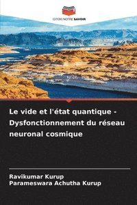 bokomslag Le vide et l'état quantique - Dysfonctionnement du réseau neuronal cosmique