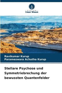bokomslag Stellare Psychose und Symmetriebrechung der bewussten Quantenfelder