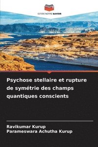 bokomslag Psychose stellaire et rupture de symétrie des champs quantiques conscients