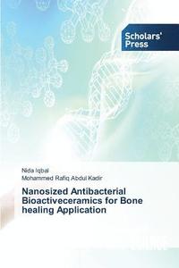 bokomslag Nanosized Antibacterial Bioactiveceramics for Bone healing Application