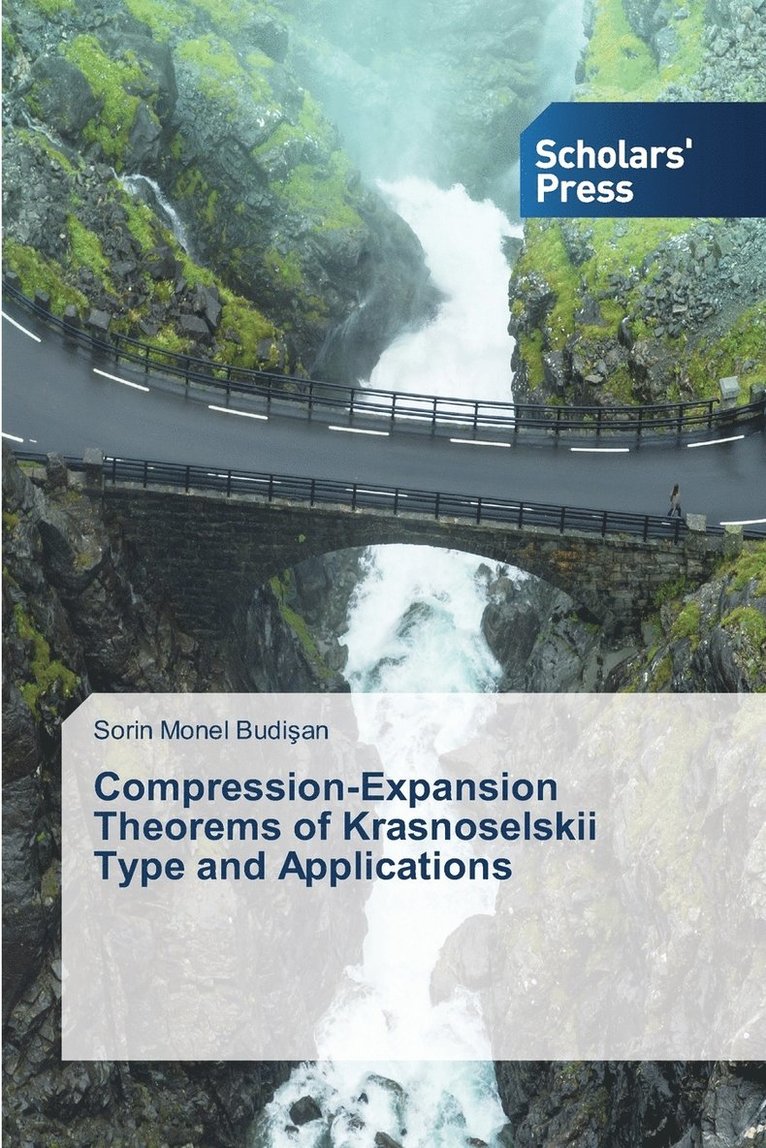 Compression-Expansion Theorems of Krasnoselskii Type and Applications 1