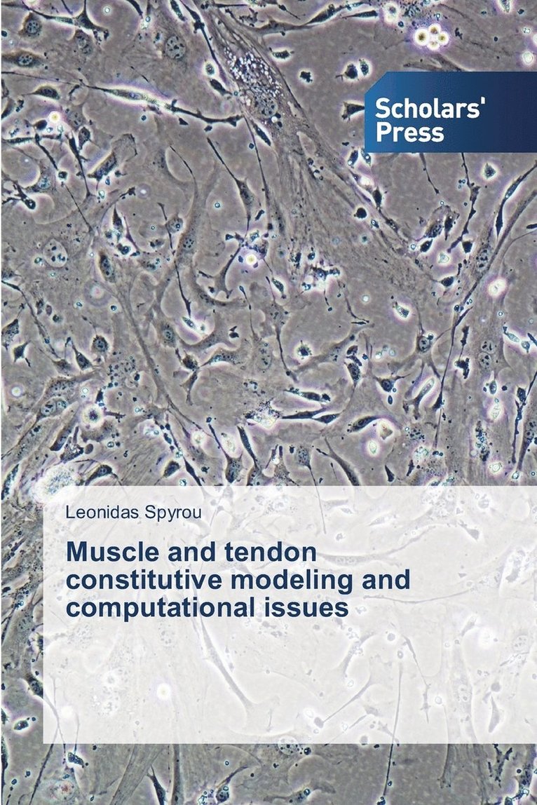 Muscle and tendon constitutive modeling and computational issues 1