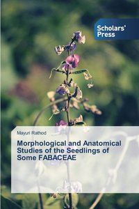 bokomslag Morphological and Anatomical Studies of the Seedlings of Some FABACEAE