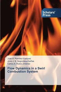 bokomslag Flow Dynamics in a Swirl Combustion System