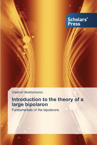 bokomslag Introduction to the theory of a large bipolaron