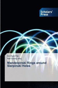 bokomslag Mandelpinski Rings around Sierpinski Holes