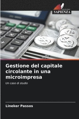 bokomslag Gestione del capitale circolante in una microimpresa