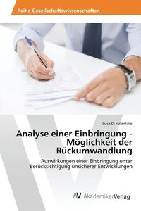 bokomslag Analyse einer Einbringung - Mglichkeit der Rckumwandlung