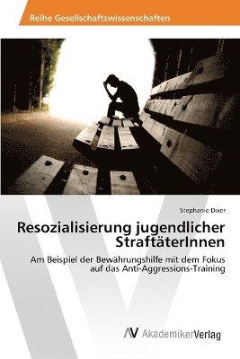 bokomslag Resozialisierung jugendlicher StraftterInnen