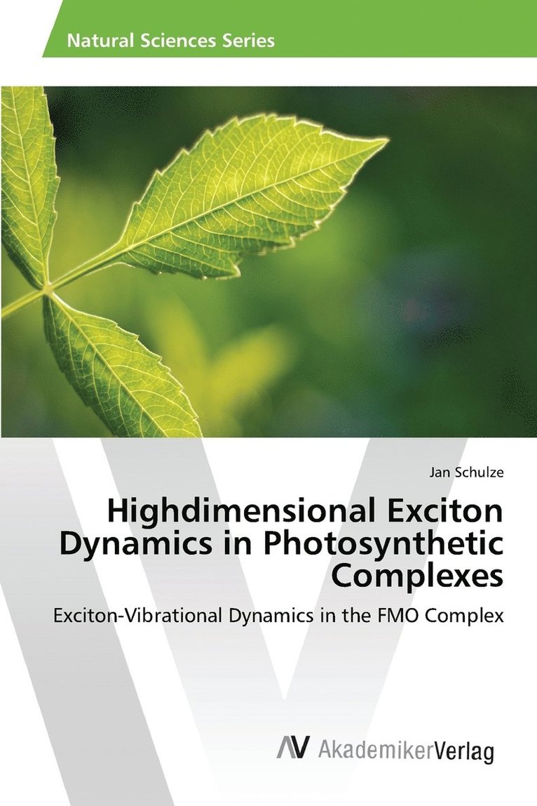 Highdimensional Exciton Dynamics in Photosynthetic Complexes 1
