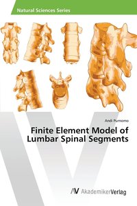 bokomslag Finite Element Model of Lumbar Spinal Segments