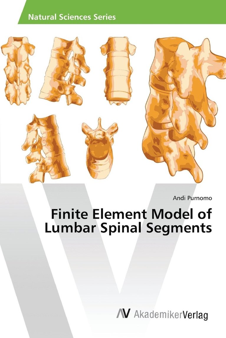 Finite Element Model of Lumbar Spinal Segments 1