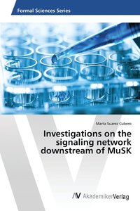 bokomslag Investigations on the signaling network downstream of MuSK