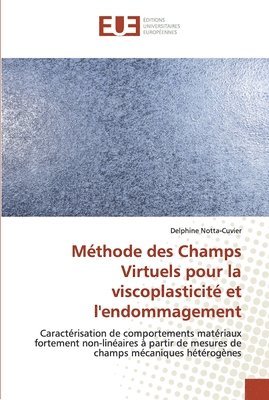 Methode des Champs Virtuels pour la viscoplasticite et l'endommagement 1