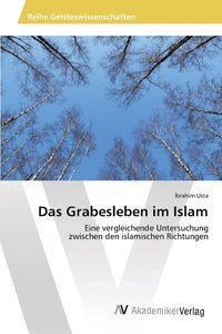 bokomslag Das Grabesleben im Islam