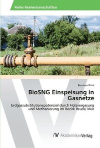 bokomslag BioSNG Einspeisung in Gasnetze