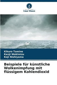 bokomslag Beispiele für künstliche Wolkenimpfung mit flüssigem Kohlendioxid