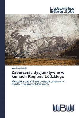 bokomslag Zaburzenia dysjunktywne w kemach Regionu Ldzkiego