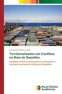 bokomslag Territorialidades em Conflitos na Baa de Sepetiba