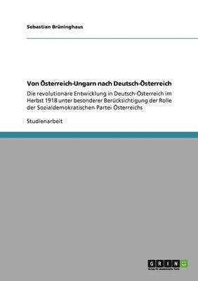 Sebastian Brüninghaus - Von Österreich-Ungarn nach Deutsch-Österreich, Häftad
