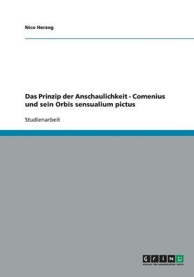 bokomslag Das Prinzip Der Anschaulichkeit