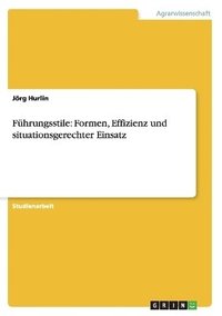 bokomslag Führungsstile