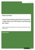 bokomslag Dem Grenzenlosen Grenzenlos Vertrauen - Aufkommen Der Okonomie Und Ruckzug Der Natur