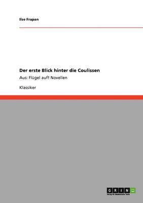 Ilse Frapan - erste Blick hinter die Coulissen, Häftad