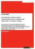 Auenpolitik Internationaler Organisationen 1