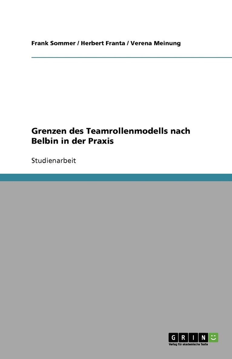 Grenzen des Teamrollenmodells nach Belbin in der Praxis