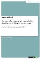 bokomslag Der Sinnvolle Umgang Mit Jugendlichen Straftatern Mit Migrationshintergrund