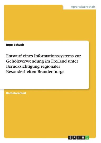 bokomslag Entwurf Eines Informationssystems Zur Ge