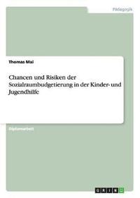 bokomslag Chancen und Risiken der Sozialraumbudgetierung in der Kinder- und Jugendhilfe