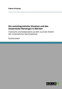 bokomslag Die soziolinguistische Situation und das slowenische Namengut in Krnten