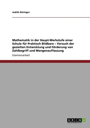 bokomslag Mathematik in Der Haupt-Werkstufe Einer Schule Fur Praktisch Bildbare - Versuch Der Gezielten Entwicklung Und Forderung Von Zahlbegriff Und Mengenauffassung