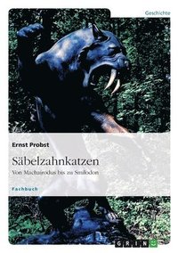 bokomslag Säbelzahnkatzen