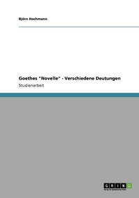 bokomslag Goethes Novelle - Verschiedene Deutungen