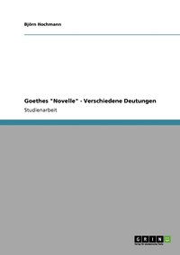 bokomslag Goethes &quot;Novelle&quot; - Verschiedene Deutungen