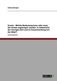 bokomslag Gnosis - Welche Bedeutung kann oder muss der Gnosis zugetragen werden, in Anbetracht der heutigen Zeit und im Zusammenhang mit der Bibel?