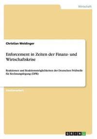 bokomslag Enforcement in Zeiten der Finanz- und Wirtschaftskrise