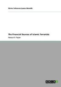 bokomslag The Financial Sources of Islamic Terrorists