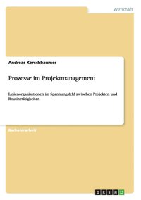 bokomslag Prozesse im Projektmanagement