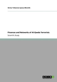 bokomslag Finances and Networks of Al-Qaeda Terrorists