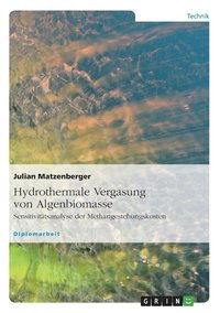 bokomslag Hydrothermale Vergasung von Algenbiomasse