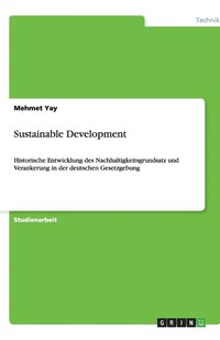 bokomslag Sustainable Development